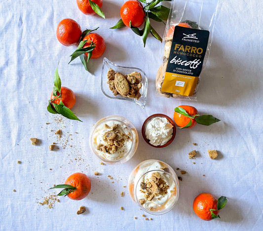 CREMOSO AL MANDARINO E BISCOTTI CON GOCCE DI CIOCCOLATO
