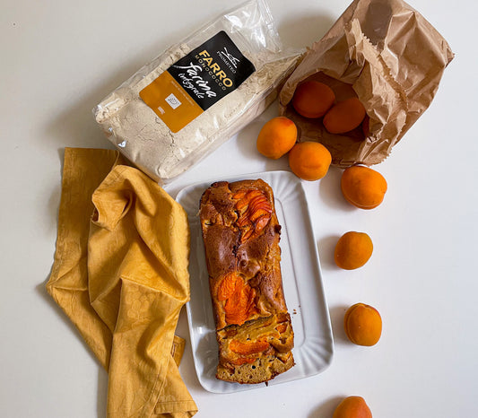 PLUMCAKE ALLE ALBICOCCHE SENZA ZUCCHERO