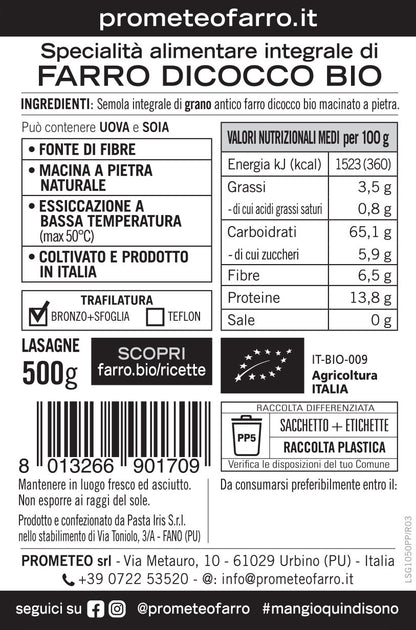 Lasagne di farro dicocco integrale bio